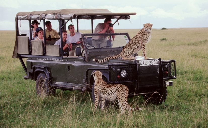 A Kenyan Safari – Capturing the Stunning Beauty of the African Wildlife 