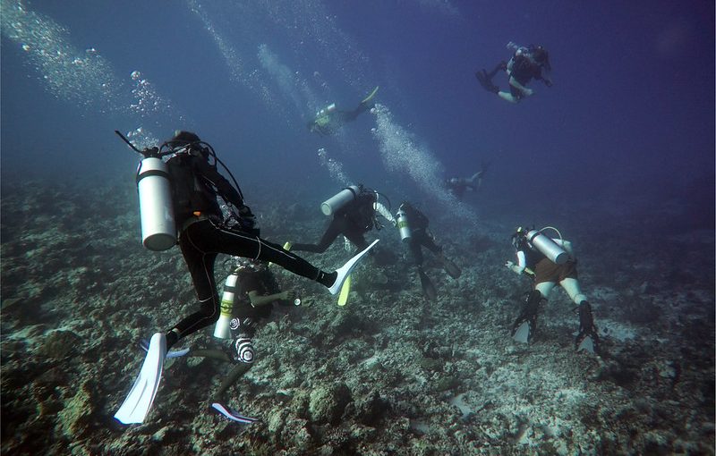 Top Secret Spots for Scuba Diving in the Maldives