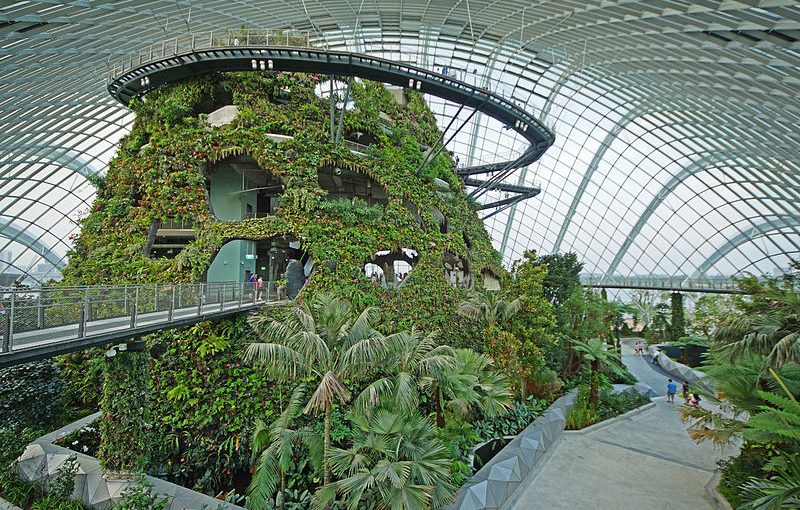 cloud forest in singapore