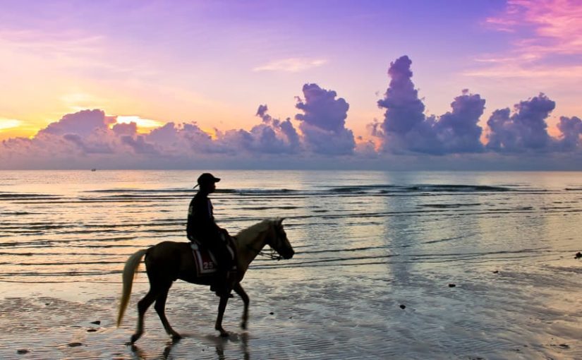 The View of Thailand on Horseback – Here’s What Every Rider Should Know