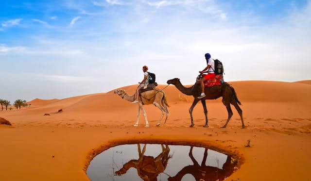 Qatar’s Desert Adventure – Here’s Everything You Need to Know