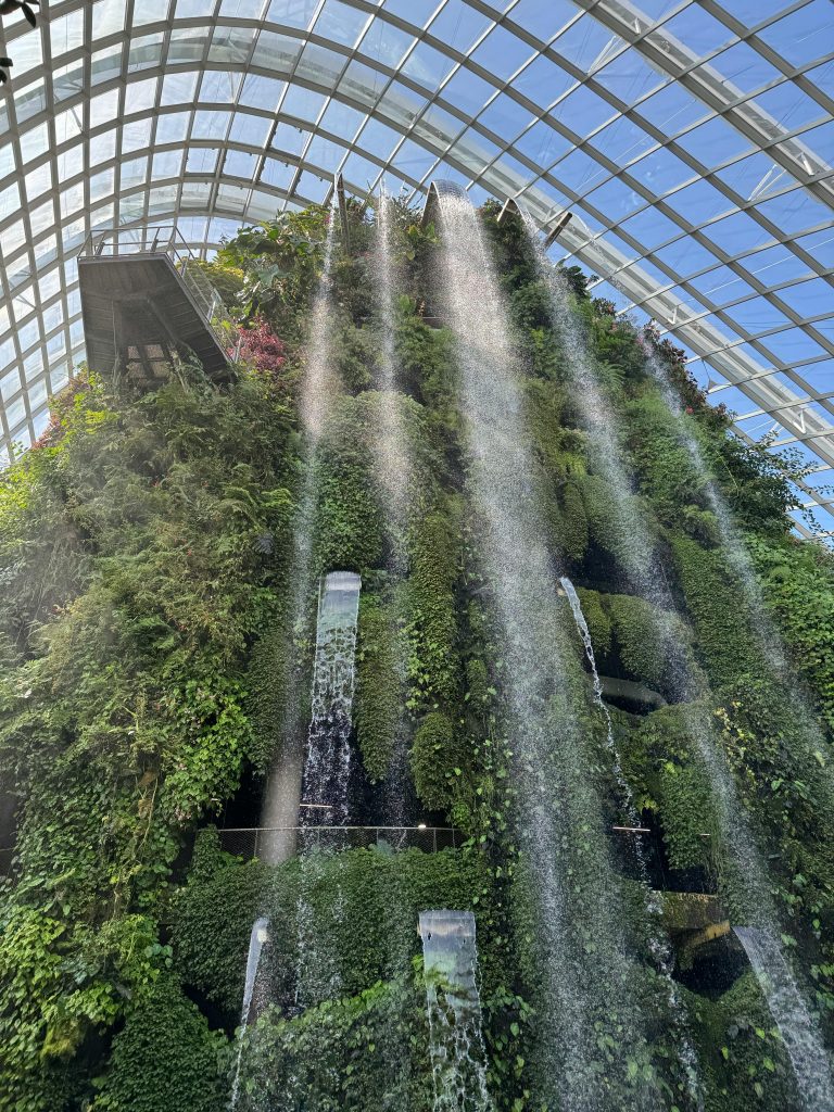 Cloud Forest in Singapore