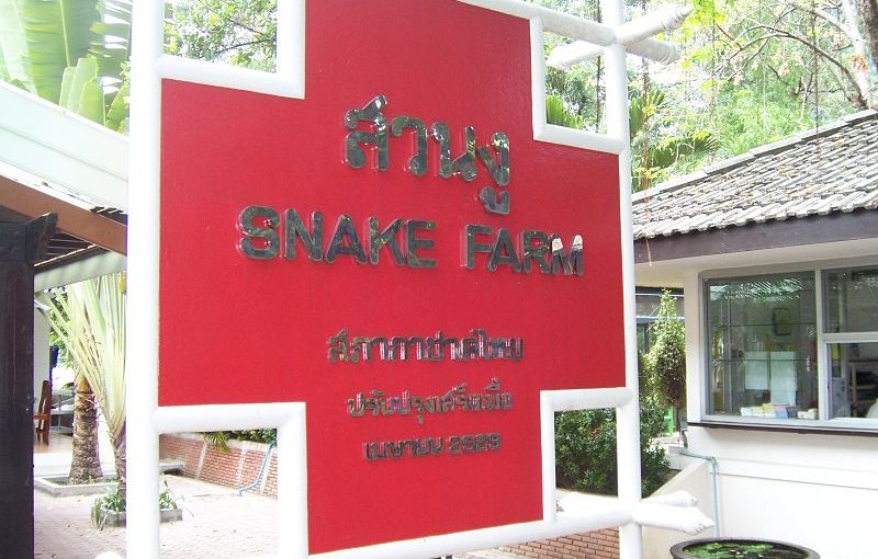 Appreciating the Beauty of Thailand’s Snakes: A Visit to the Snake Farm in Bangkok