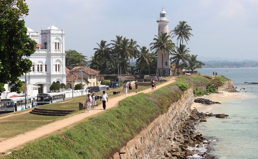 A Guide to Whale Watching in Sri Lanka’s South Coast—In Search of the Giants of the Ocean!