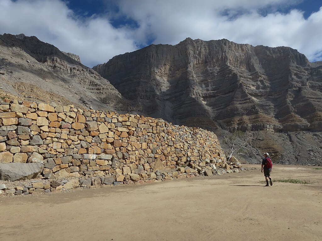 Field_on_Jebel_Jais