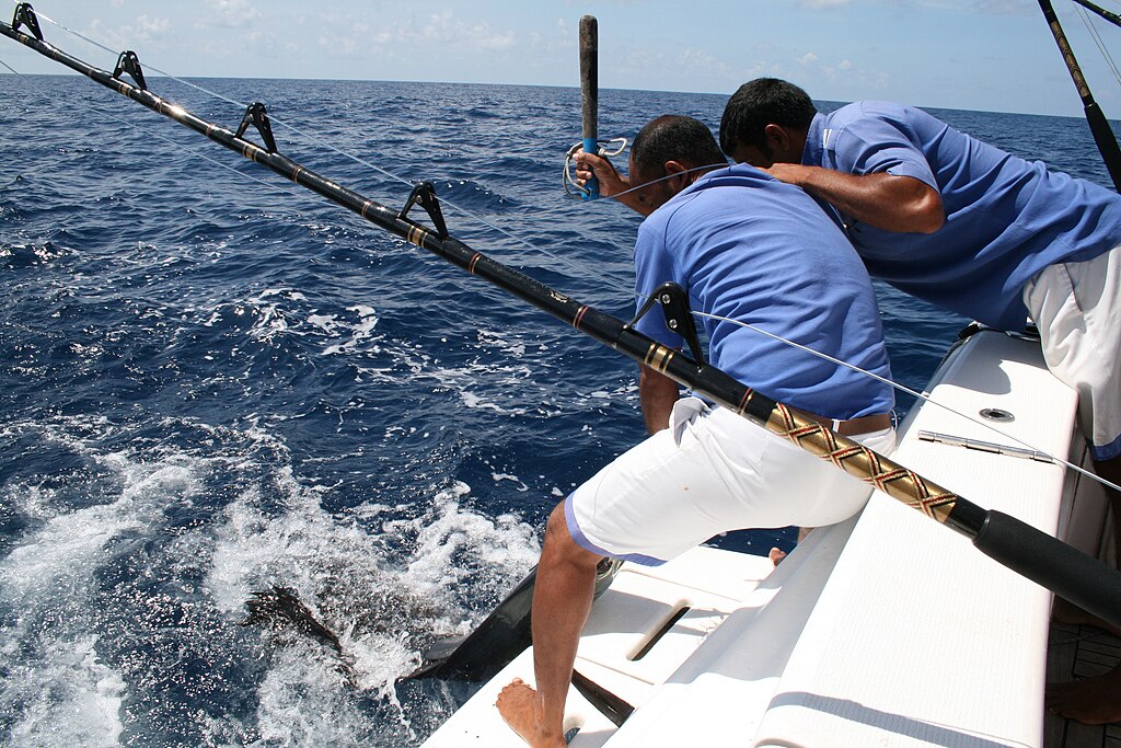 Maldives fish