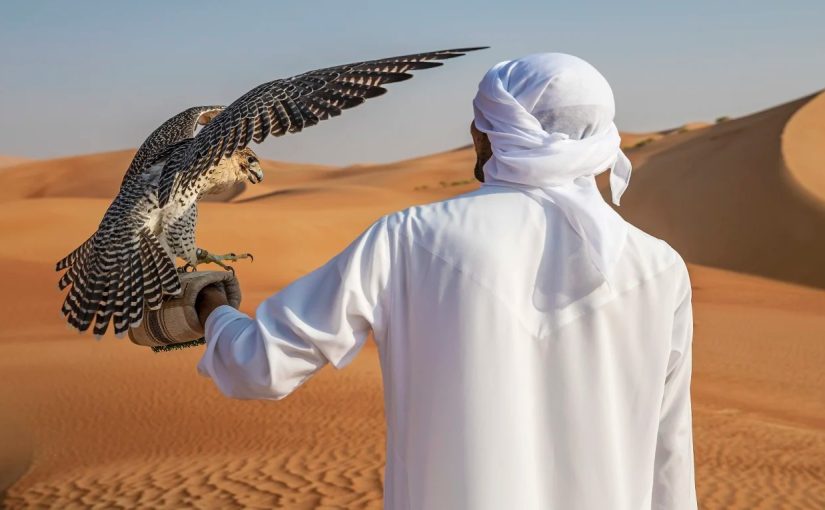 Adventuring in Abu Dhabi’s Deserts: Top Activities for Exploring the Empty Quarter